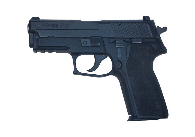 SIG SAUER 9MM P229 handgun